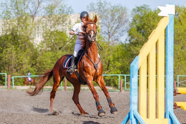 Qu'est-ce que le gilet airbag pour cavalier ?